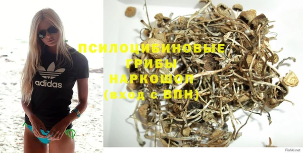 дурь Алзамай