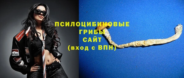 дурь Алзамай
