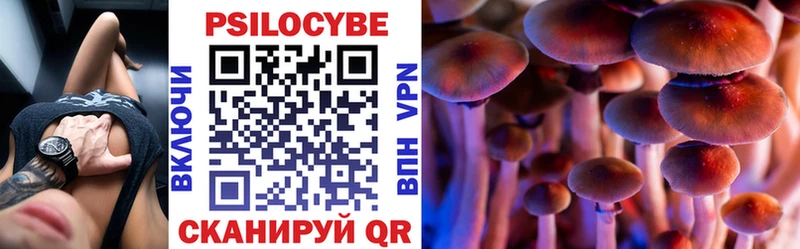 Псилоцибиновые грибы ЛСД  Курчалой 